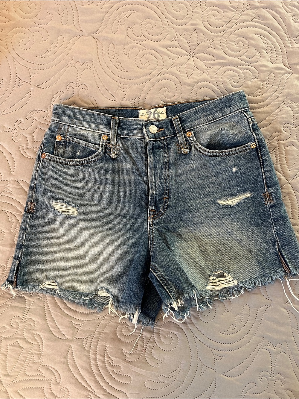We The Free Distressed Jean Shorts in Faded Blue